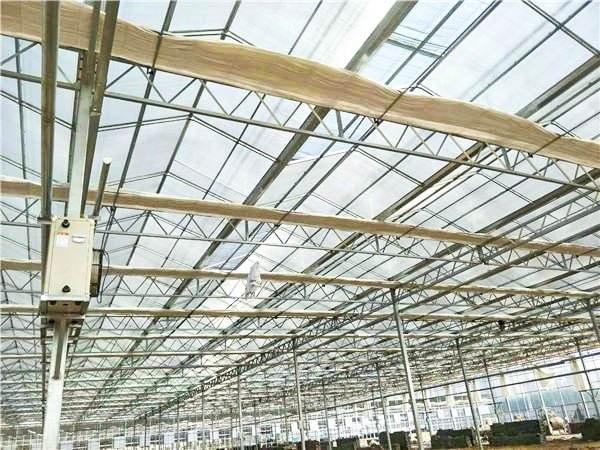 鋼架大棚